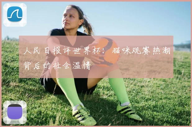 人民日报评世界杯：猫咪观赛热潮背后的社会温情