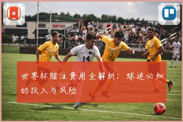 世界杯赌注费用全解析：球迷必知的投入与风险